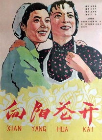 亚洲an日韩专区在线